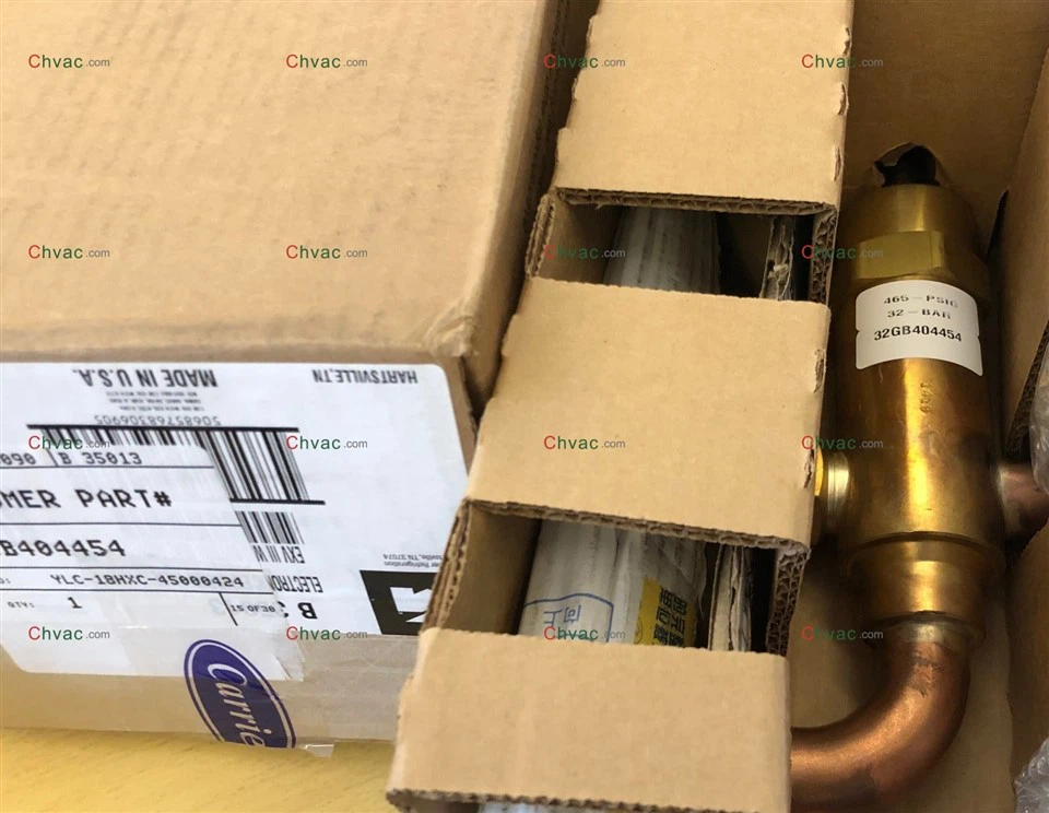 Taşıyıcı İçin Genleşme Valfi 32GB404534